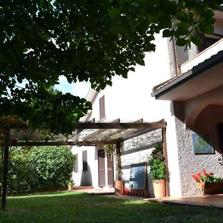 Agriturismo Piana Arborello Hotel Magliano in Toscana Esterno foto
