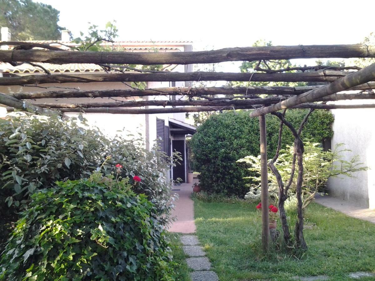 Agriturismo Piana Arborello Hotel Magliano in Toscana Esterno foto