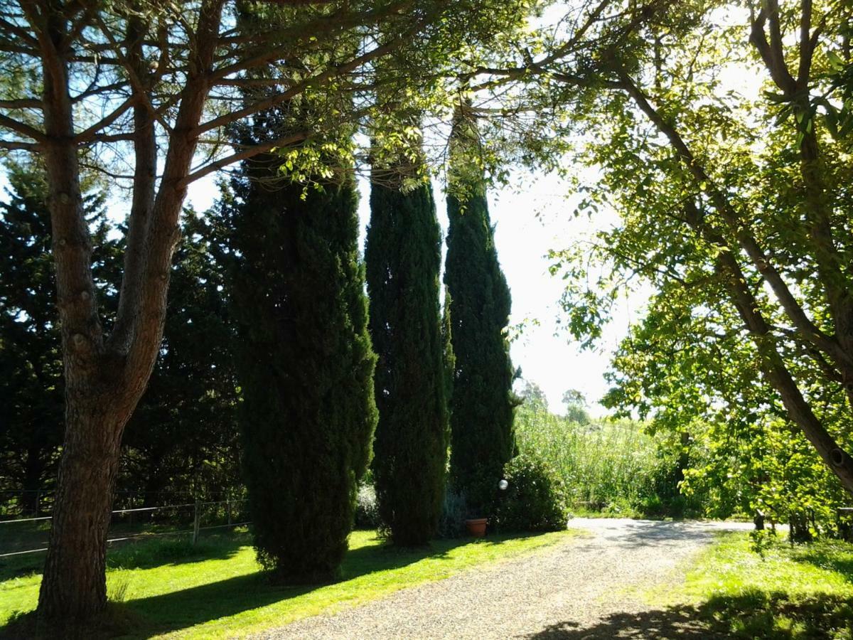 Agriturismo Piana Arborello Hotel Magliano in Toscana Esterno foto