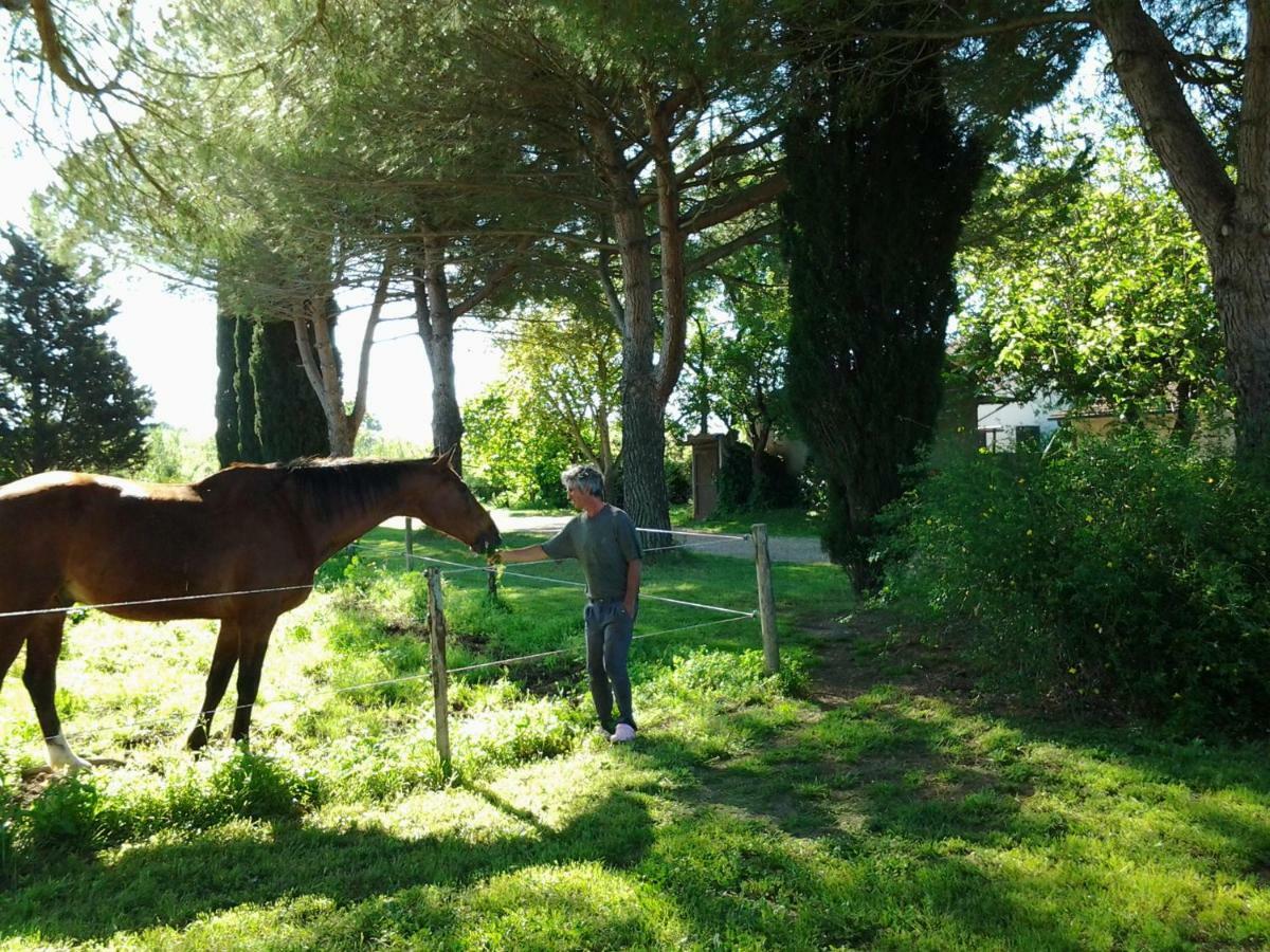 Agriturismo Piana Arborello Hotel Magliano in Toscana Esterno foto