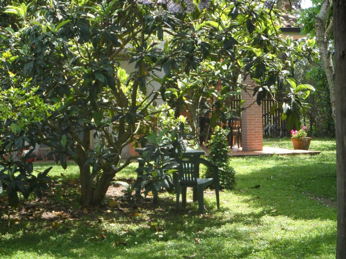 Agriturismo Piana Arborello Hotel Magliano in Toscana Esterno foto