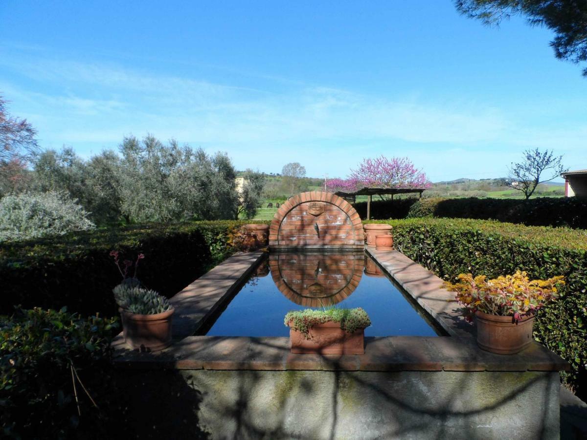 Agriturismo Piana Arborello Hotel Magliano in Toscana Esterno foto