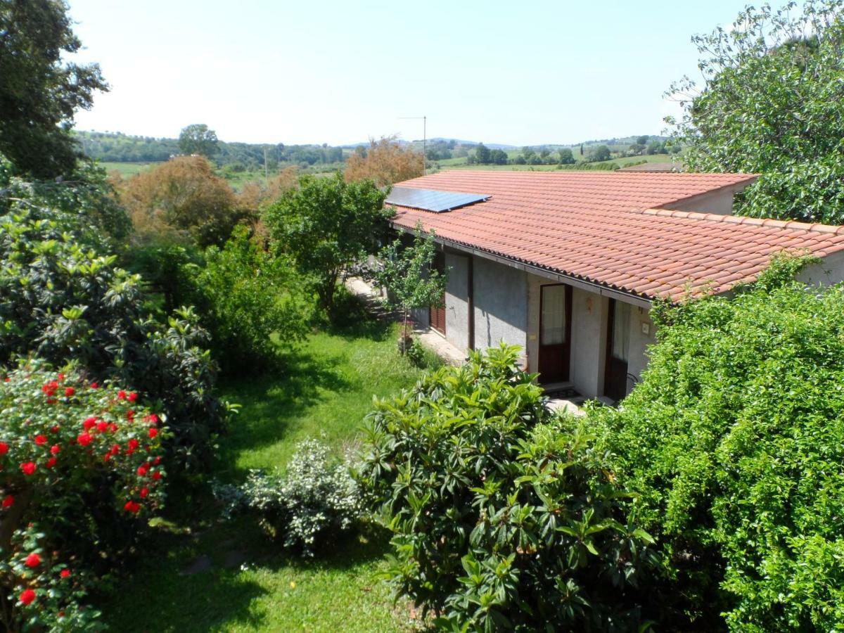 Agriturismo Piana Arborello Hotel Magliano in Toscana Esterno foto