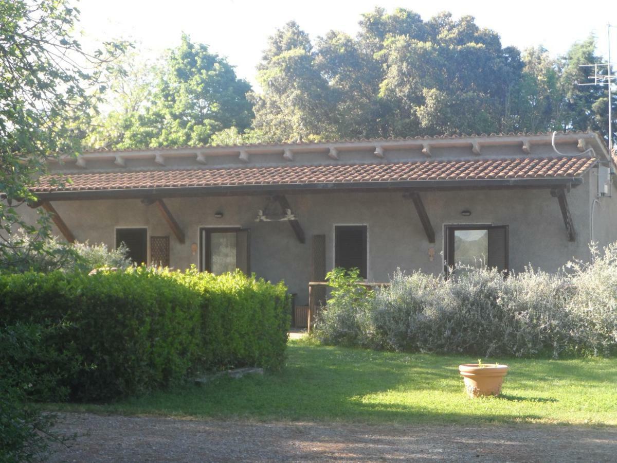 Agriturismo Piana Arborello Hotel Magliano in Toscana Esterno foto