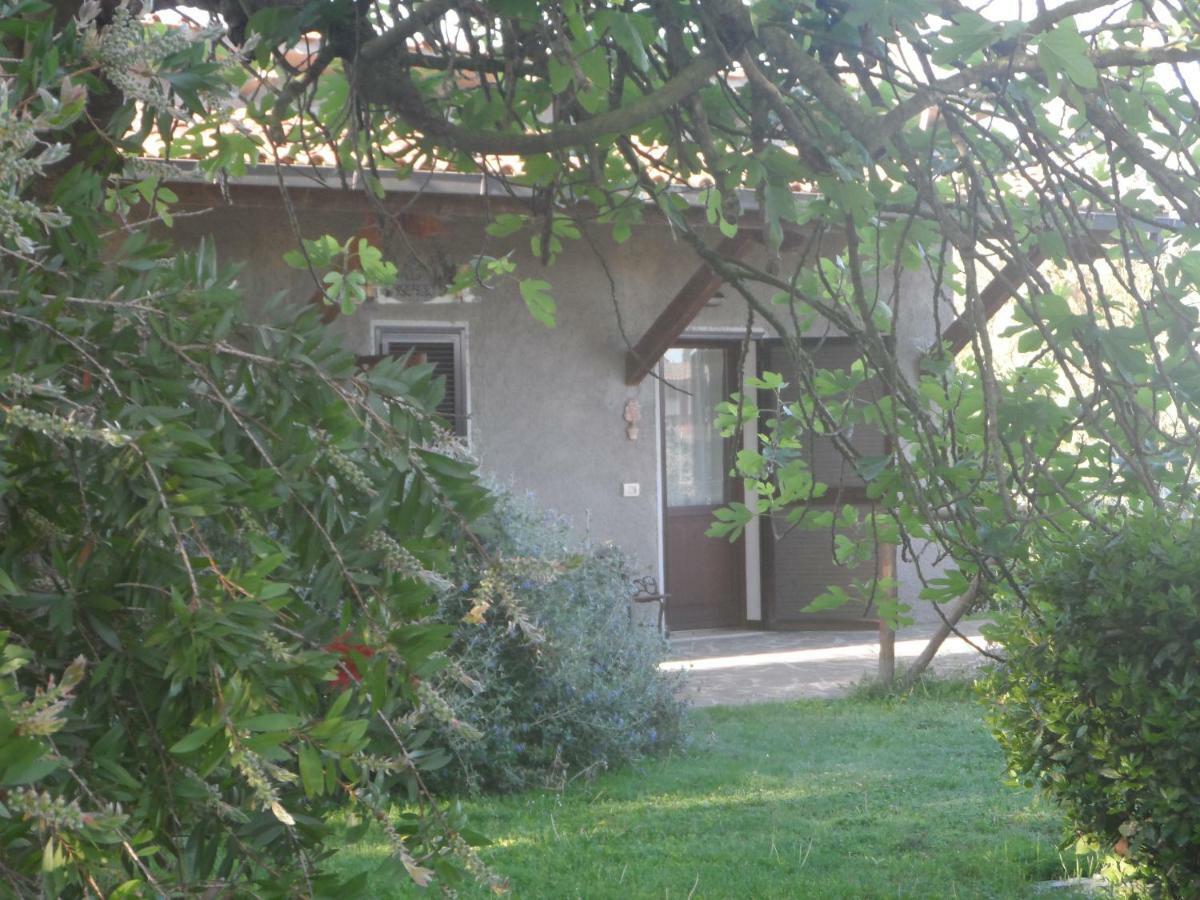 Agriturismo Piana Arborello Hotel Magliano in Toscana Esterno foto