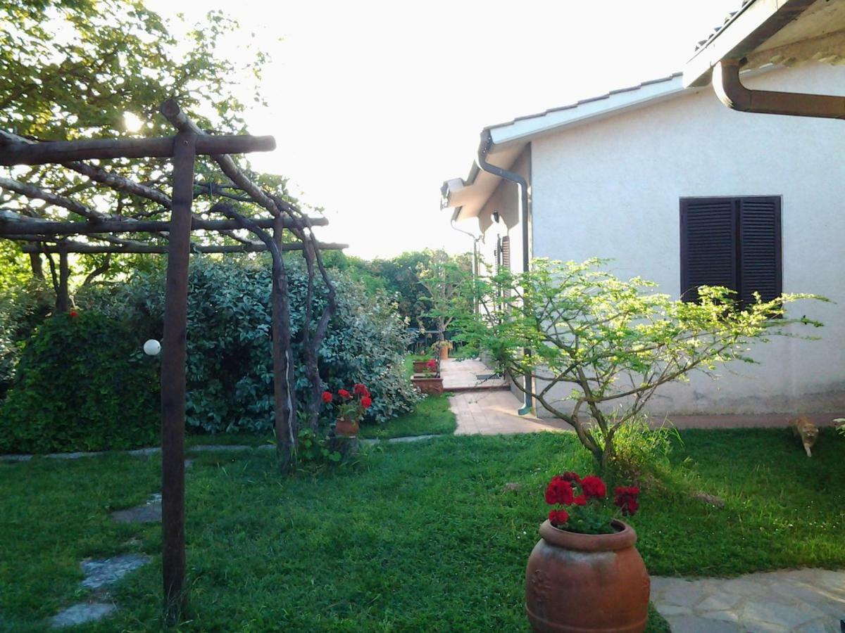 Agriturismo Piana Arborello Hotel Magliano in Toscana Esterno foto