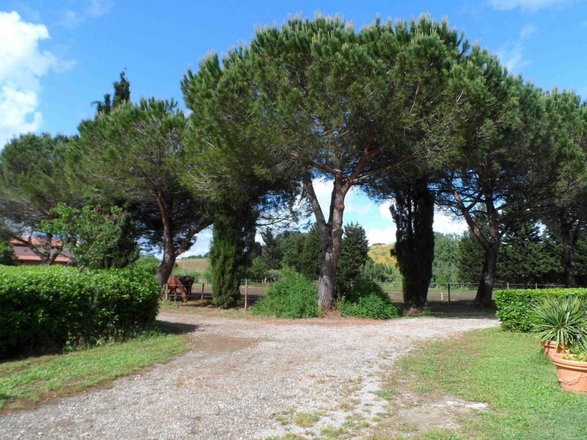 Agriturismo Piana Arborello Hotel Magliano in Toscana Esterno foto