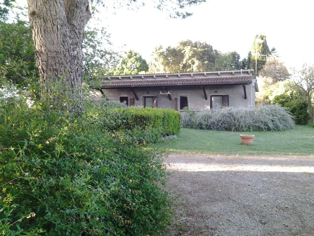 Agriturismo Piana Arborello Hotel Magliano in Toscana Esterno foto