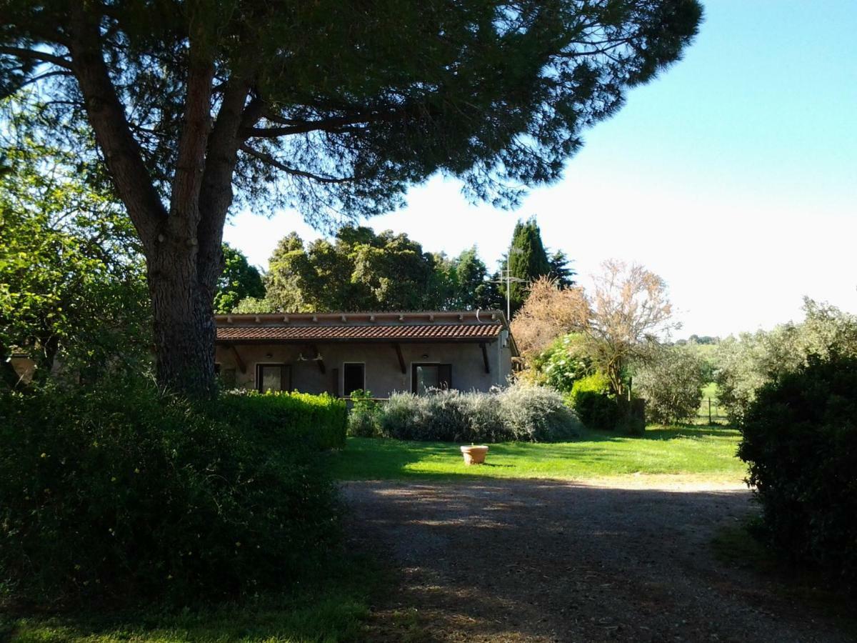 Agriturismo Piana Arborello Hotel Magliano in Toscana Esterno foto