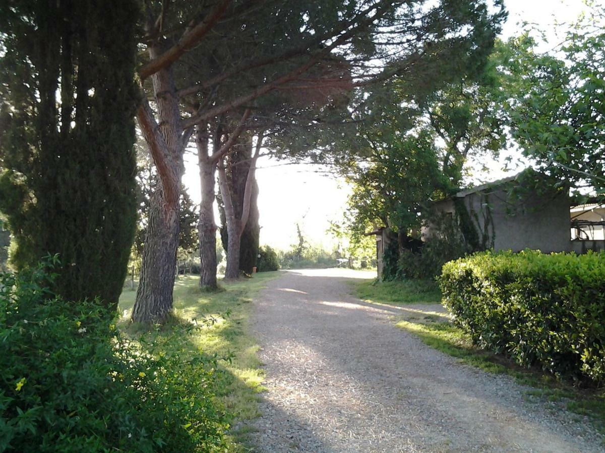 Agriturismo Piana Arborello Hotel Magliano in Toscana Esterno foto