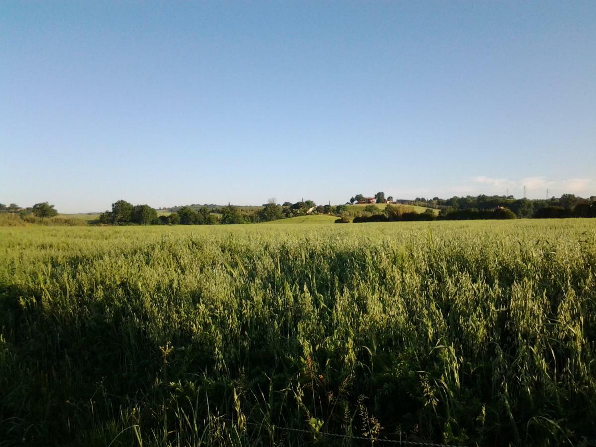 Agriturismo Piana Arborello Hotel Magliano in Toscana Esterno foto