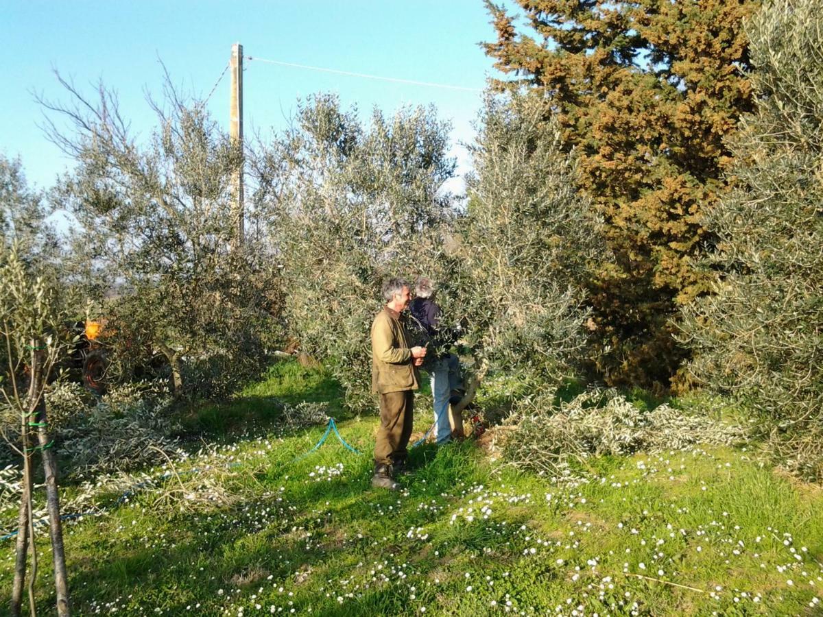 Agriturismo Piana Arborello Hotel Magliano in Toscana Esterno foto